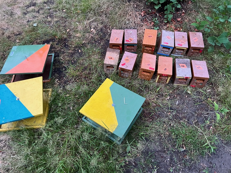 Kleurrijke bevruchtingskastjes voor de koninginnenteelt