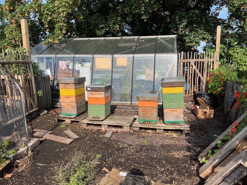 Bijenkasten voor een serre in de moestuin
