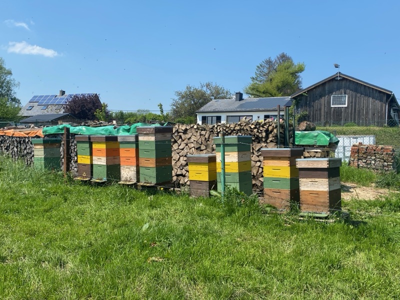 Rij bijenkasten bij de hoeve