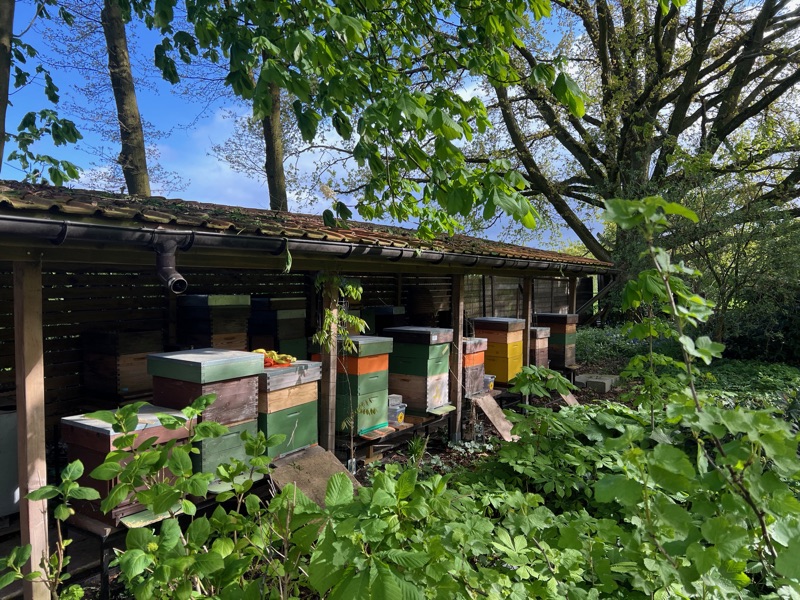 Bijenkasten onder een afdak in de tuin