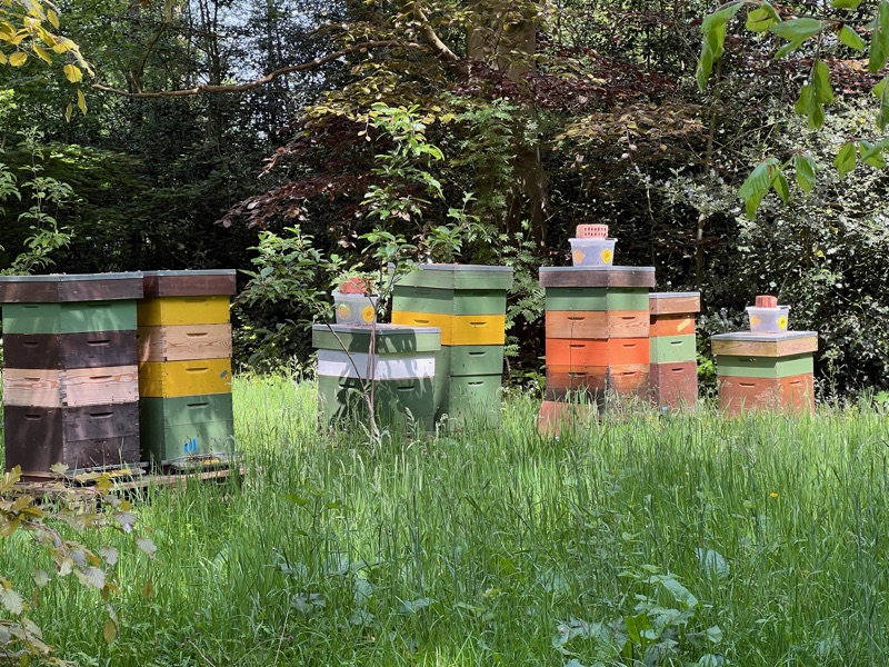 Gekleurde bijenkasten met voederbakken bovenop